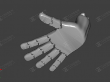 弹性手 可以活动的手掌 玩具模型