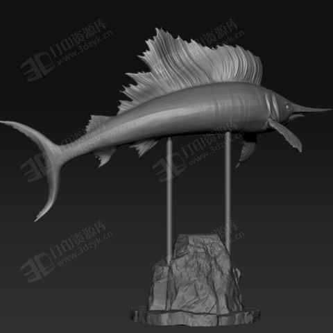 深海魚(yú)類(lèi) 旗魚(yú)擺件 裝飾 3d打印模型 (3).jpg