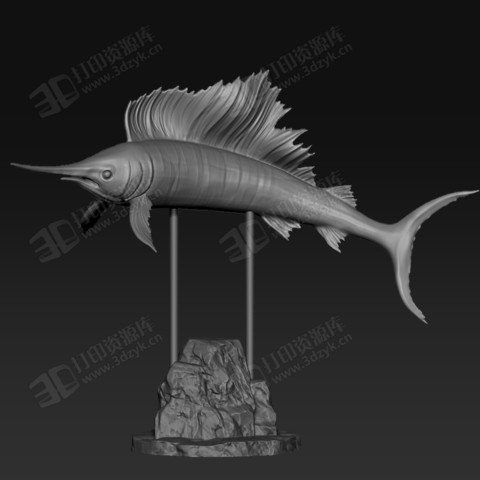 深海魚(yú)類(lèi) 旗魚(yú)擺件 裝飾 3d打印模型 (4).jpg