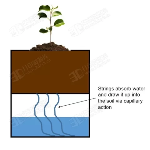 自動澆水的綠植盆栽模型 (2).webp