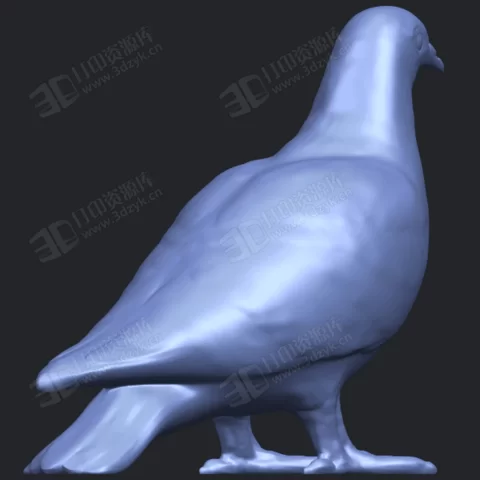 信鴿 鳥 動物模型 stl (2).webp