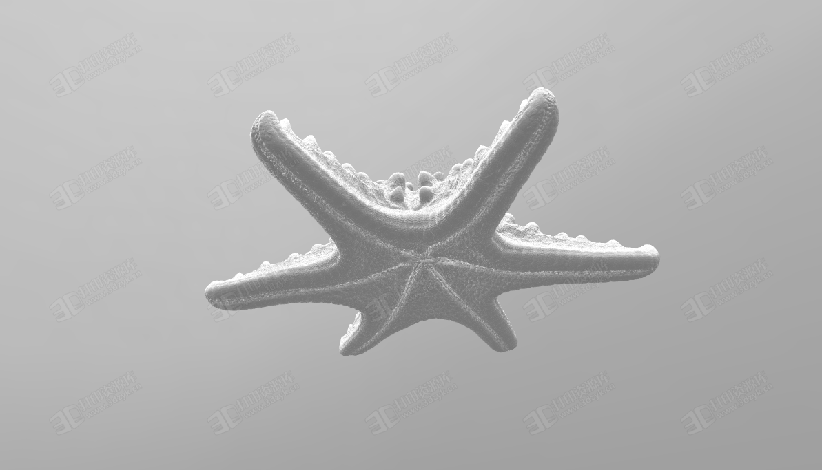 海星 水生物模型 (2).png