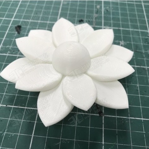 一朵鮮花 花草模型 3d打印stl.jpg