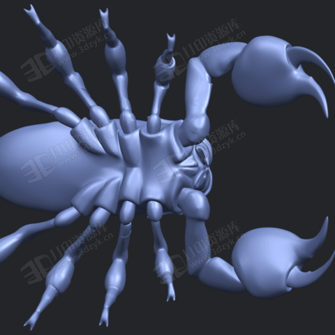 蝎子 動物模型 3d打印 (3).png