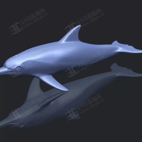 海豚 水生物 3d打印模型 (1).webp