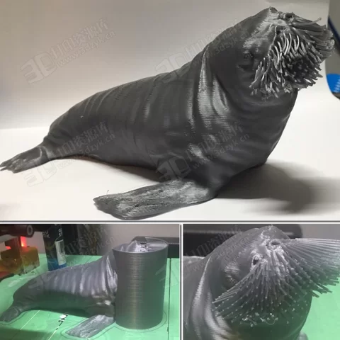 長了胡子的海象 動物3d模型.webp