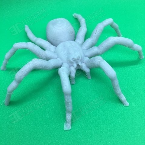 八腳蜘蛛,鳥蛛,狼蛛 寫實蜘蛛_毛蜘蛛_黑蜘蛛3d模型 3d打印 (1).jpg