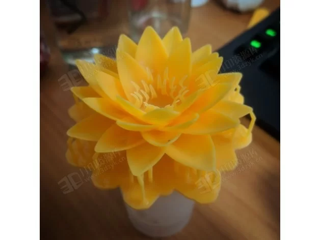 蓮花荷花 花朵模型 3d打印.webp