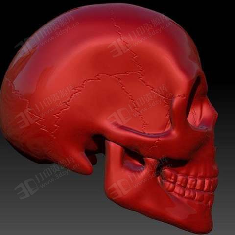 面帶微笑的骷髏頭 高精度3d打印模型 (4).jpg