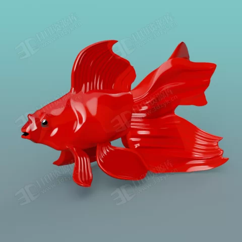 觀賞性金魚 水生物模型stl (1).webp