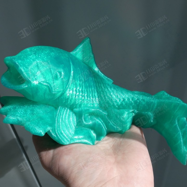 鯉魚(yú) 魚(yú) 水生物3d打印模型 (2).jpg