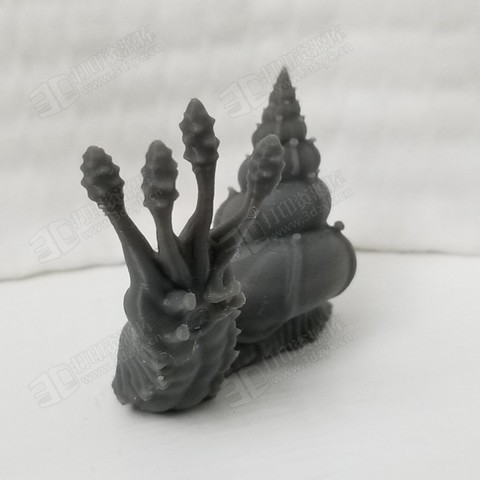 小巧可愛的蝸牛 爬行動(dòng)物 3d打印模型 (1).jpg