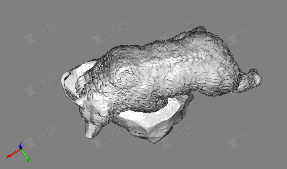 灰熊 黑熊動物模型 3d打印 (3).png