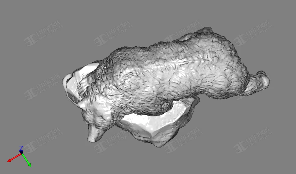 灰熊 黑熊動物模型 3d打印 (3).webp