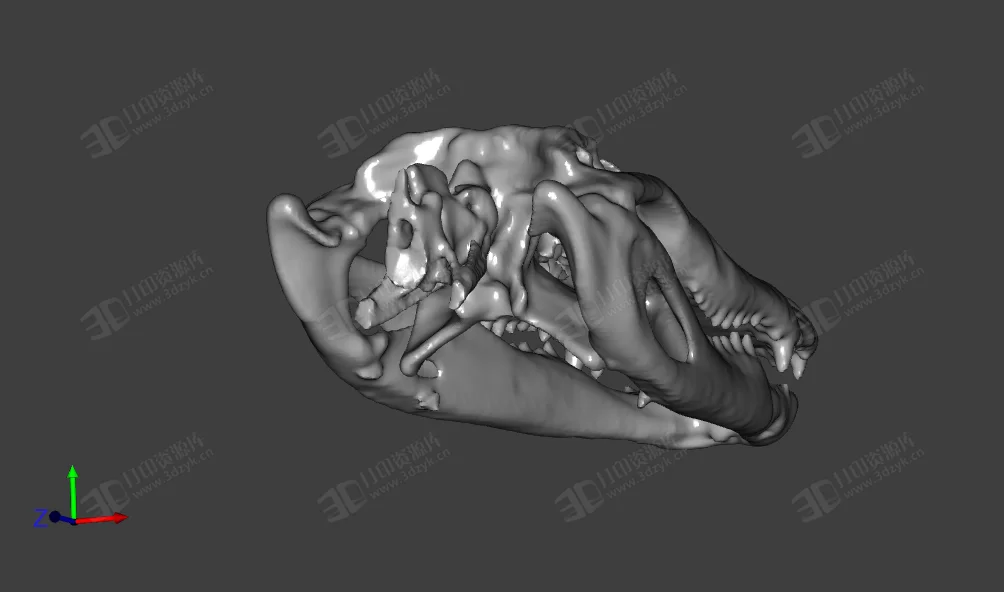 鱷魚頭骨 stl模型下載 (3).webp