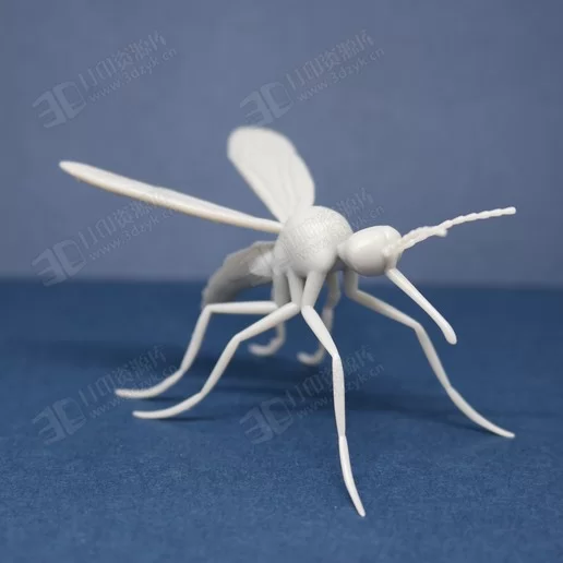 寫實(shí)蚊子mosquito 3d模型 (1).webp