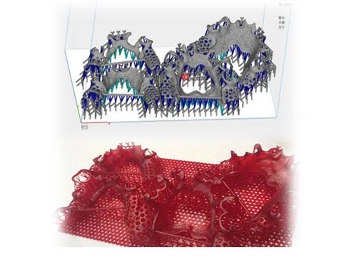 齿科应用  黑格科技Cast 2.0材料支架包埋铸造方案实现又一突破 (7).jpg