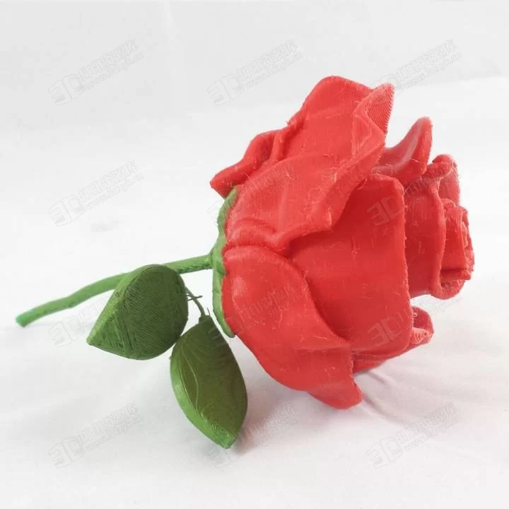 720X720-roses04.webp