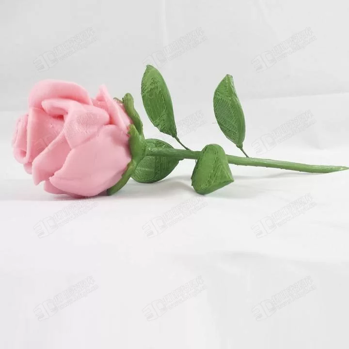 720X720-roses08.webp