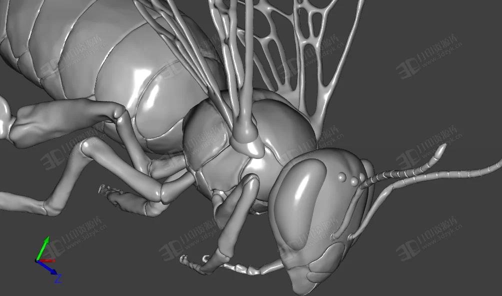 蜜蜂 昆蟲模型 3d打印模型 (1).webp