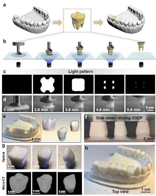 中科院化学所实现单液滴3D打印技术 ：一滴树脂打印一颗牙 (4).jpg