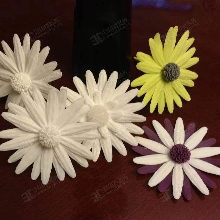 雛菊 菊花 花草模型3d打印 (2).webp