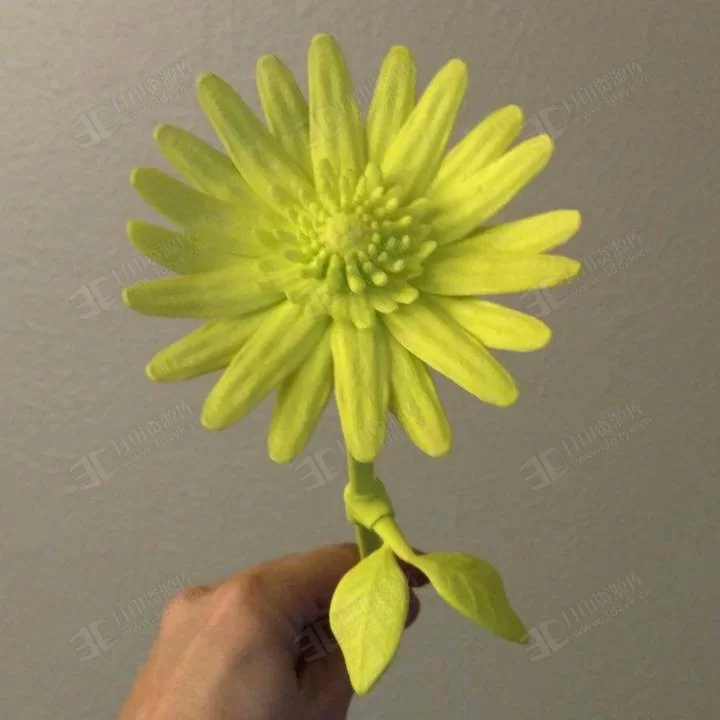 雛菊 菊花 花草模型3d打印 (3).webp