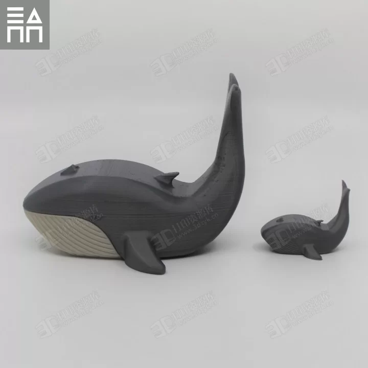 藍(lán)鯨媽媽和寶寶 鯨魚 水生物模型3d打印 (1).webp