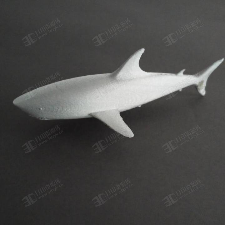 鯊魚 水生物 雕塑模型3d打印 (4).jpg