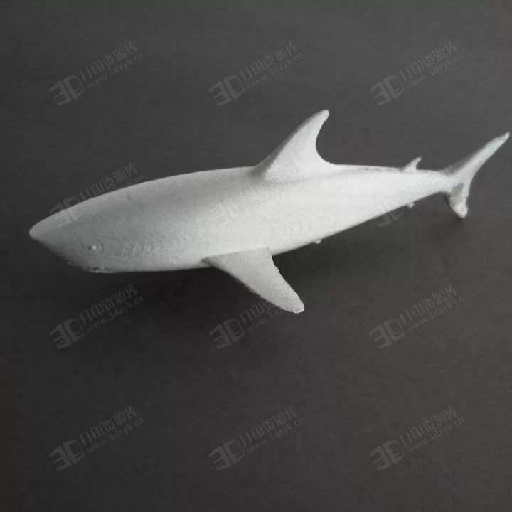 鯊魚 水生物 雕塑模型3d打印 (4).webp