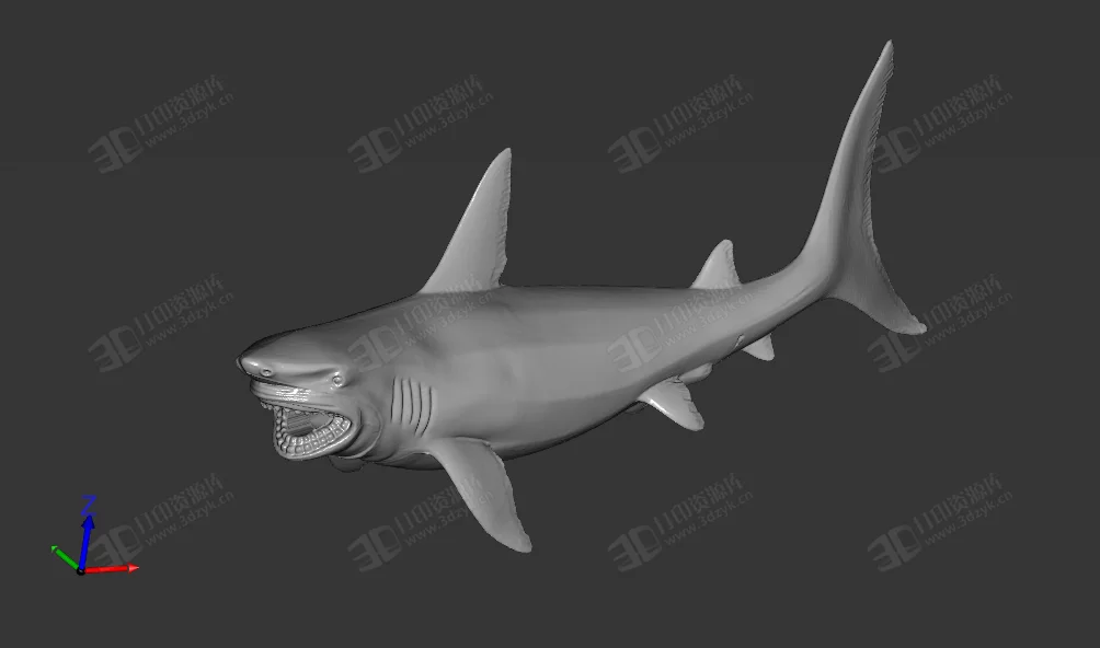 鯊魚 大白鯊 水生物 3d打印模型 (1).webp