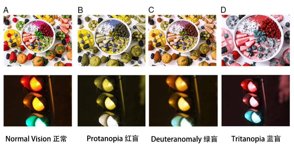 研究人员开发出矫正色盲的3D打印眼镜，可为每个患者量身定制 (1).jpg