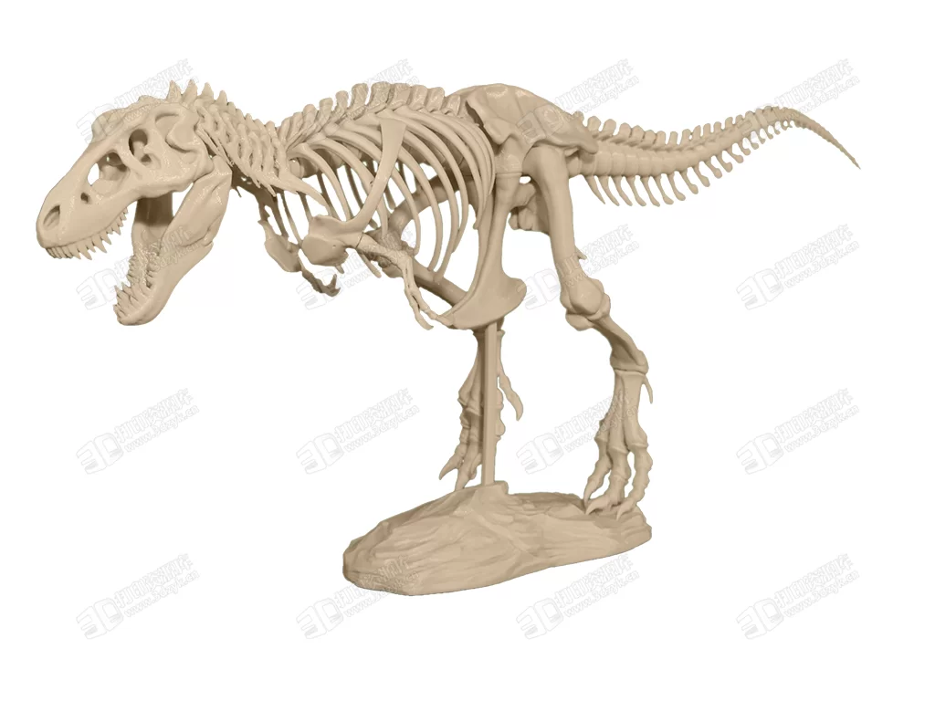 T-Rex_Skeleton_2.webp