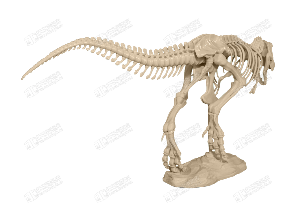 T-Rex_Skeleton_6.png