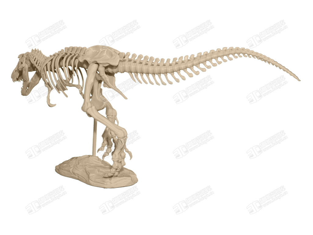 T-Rex_Skeleton_4.png