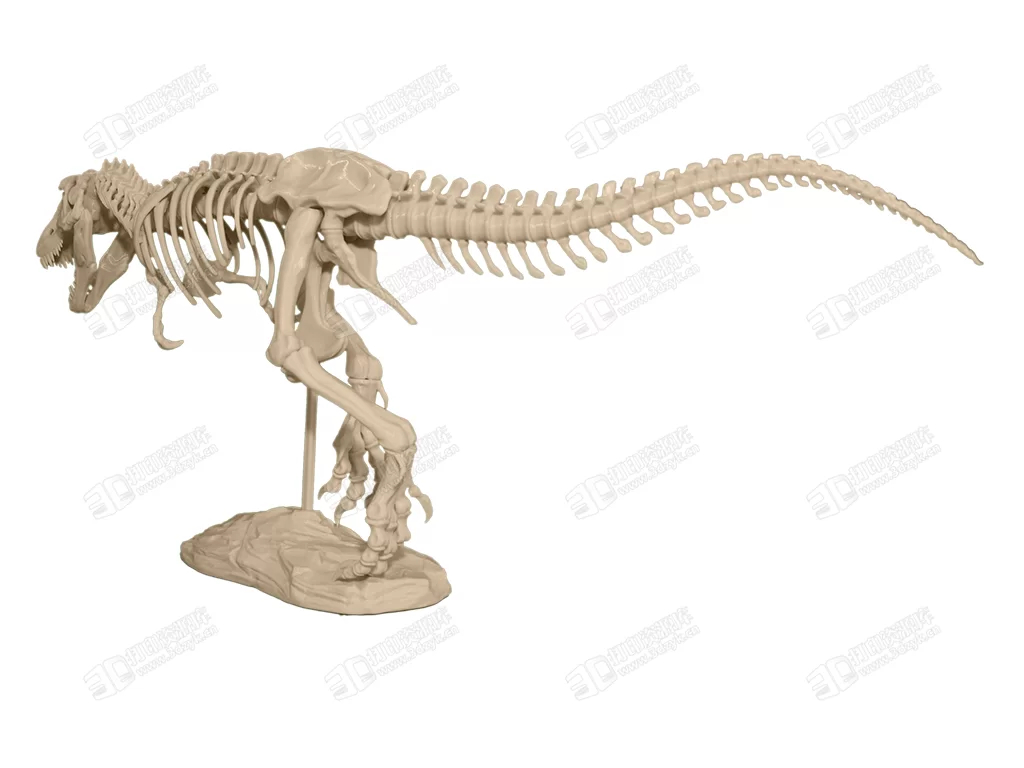 T-Rex_Skeleton_4.webp