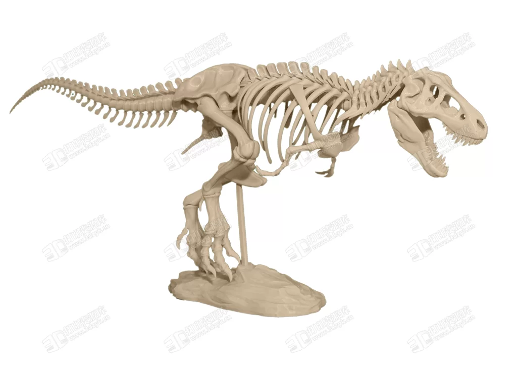 T-Rex_Skeleton_5.webp