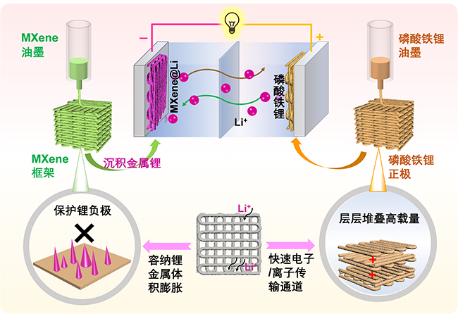 中科院大连化物所研开发出全3D打印锂金属电池.jpg