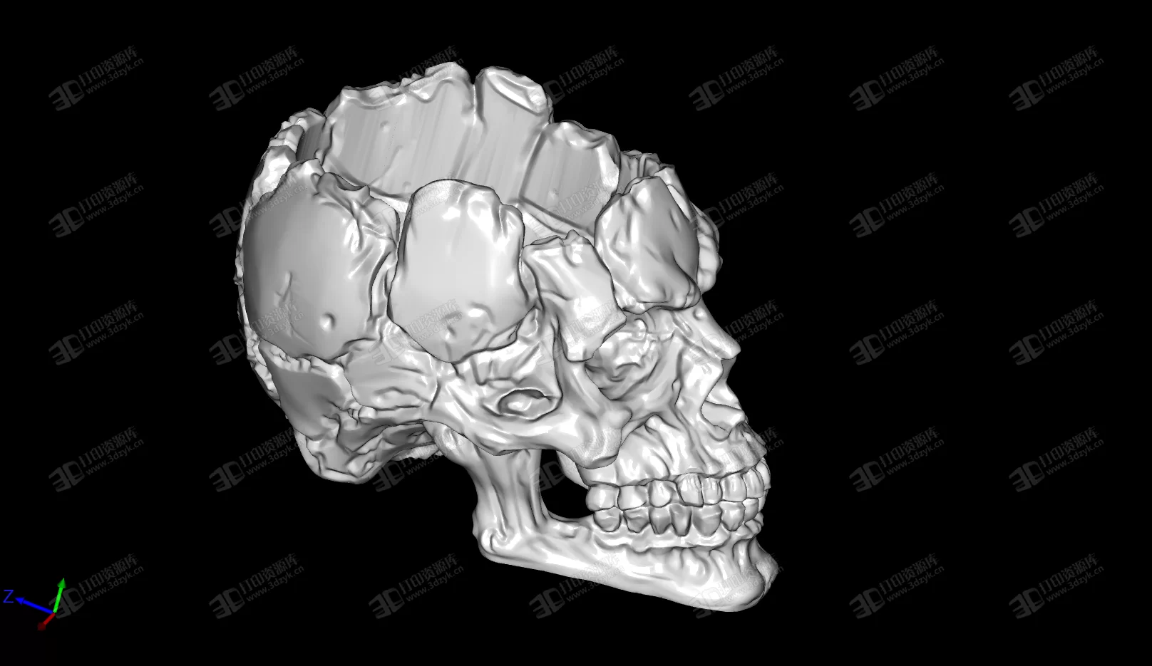 空心骷髏 - 鉛筆架 3D打印模型 (1).webp