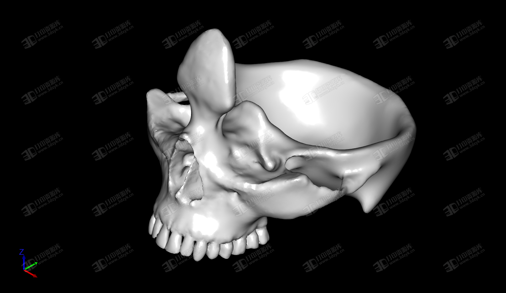 骷髏頭 手機(jī)架 支架 3D打印模型 (2).png