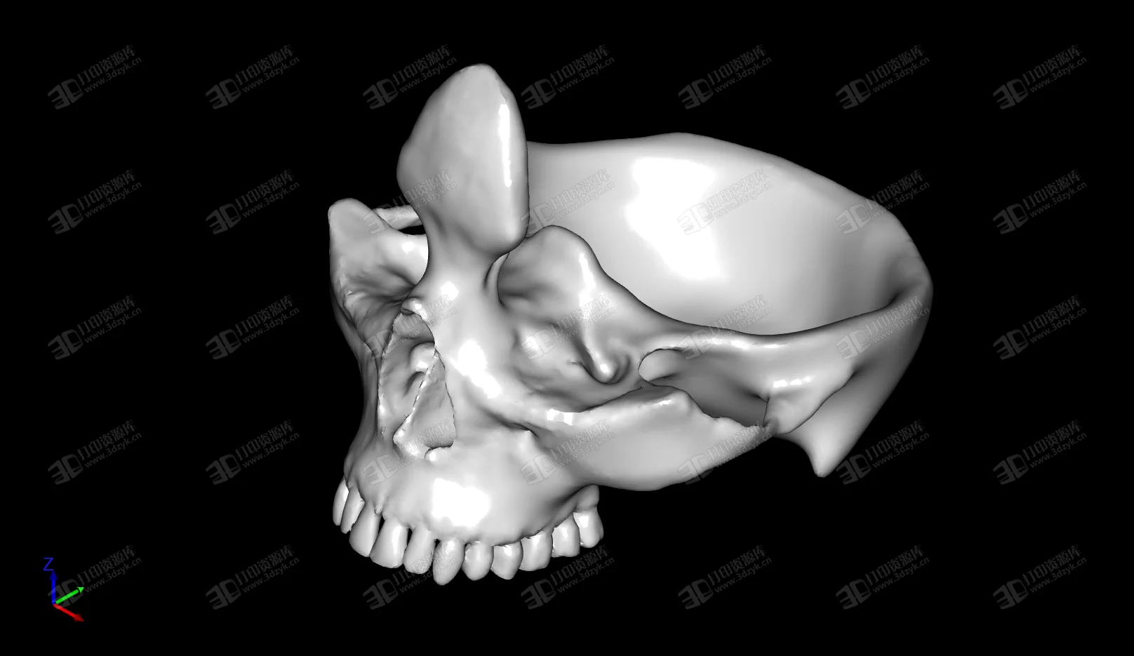 骷髏頭 手機(jī)架 支架 3D打印模型 (2).webp