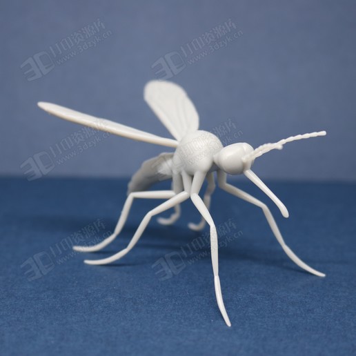 寫實(shí)蚊子mosquito 昆蟲模型3d模型